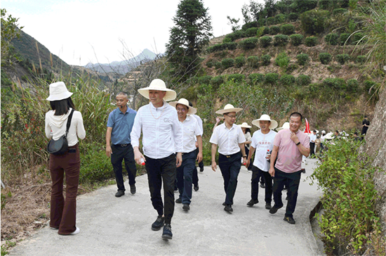 13 振興茶產(chǎn)業(yè) 媒體來助力  廈門市安溪商會組織媒體記者走進(jìn)安溪茶鄉(xiāng)265.png